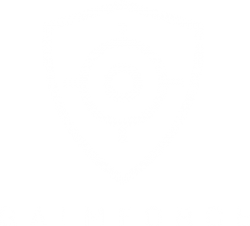 logo_gaimforce_white